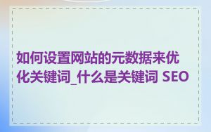 如何设置网站的元数据来优化关键词_什么是关键词 SEO