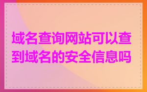 域名查询网站可以查到域名的安全信息吗