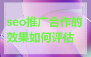 seo推广合作的效果如何评估