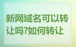新网域名可以转让吗?如何转让