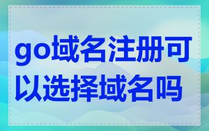 go域名注册可以选择域名吗