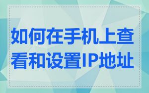 如何在手机上查看和设置IP地址