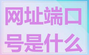 网址端口号是什么