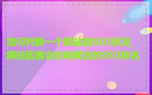 如何判断一个网站的SEO状况_哪些因素会影响网站的SEO排名