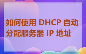 如何使用 DHCP 自动分配服务器 IP 地址