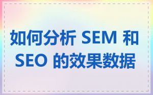 如何分析 SEM 和 SEO 的效果数据