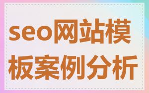 seo网站模板案例分析