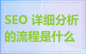 SEO 详细分析的流程是什么