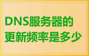 DNS服务器的更新频率是多少