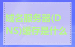域名服务器(DNS)缓存是什么