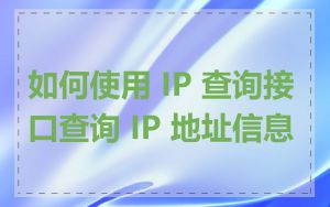 如何使用 IP 查询接口查询 IP 地址信息