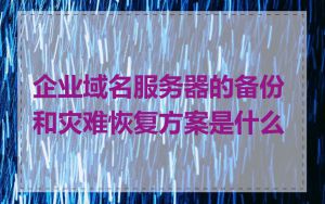 企业域名服务器的备份和灾难恢复方案是什么