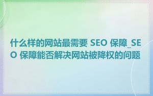 什么样的网站最需要 SEO 保障_SEO 保障能否解决网站被降权的问题