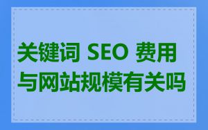 关键词 SEO 费用与网站规模有关吗