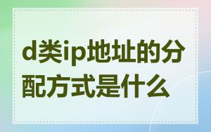 d类ip地址的分配方式是什么