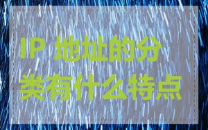 IP 地址的分类有什么特点