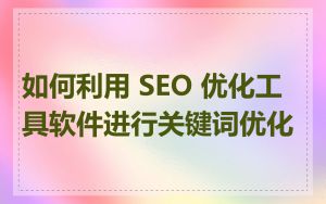 如何利用 SEO 优化工具软件进行关键词优化