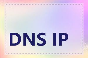 DNS IP 地址是什么