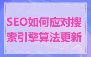 SEO如何应对搜索引擎算法更新