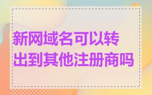 新网域名可以转出到其他注册商吗