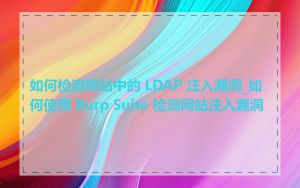 如何检测网站中的 LDAP 注入漏洞_如何使用 Burp Suite 检测网站注入漏洞