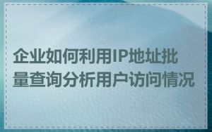企业如何利用IP地址批量查询分析用户访问情况
