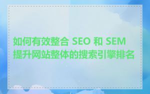 如何有效整合 SEO 和 SEM 提升网站整体的搜索引擎排名