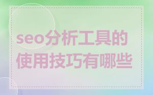 seo分析工具的使用技巧有哪些