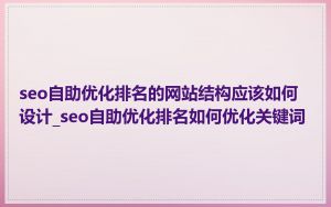 seo自助优化排名的网站结构应该如何设计_seo自助优化排名如何优化关键词