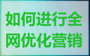 如何进行全网优化营销