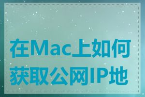 在Mac上如何获取公网IP地址