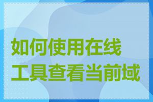 如何使用在线工具查看当前域名