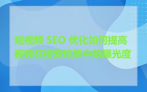 短视频 SEO 优化如何提高视频在搜索结果中的曝光度