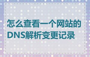 怎么查看一个网站的DNS解析变更记录