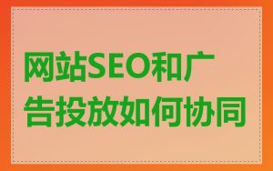网站SEO和广告投放如何协同
