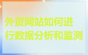外贸网站如何进行数据分析和监测
