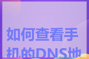 如何查看手机的DNS地址