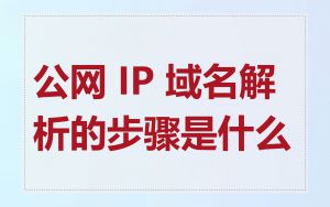 公网 IP 域名解析的步骤是什么