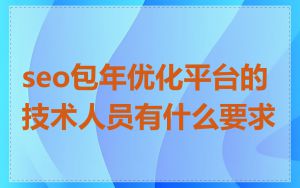 seo包年优化平台的技术人员有什么要求