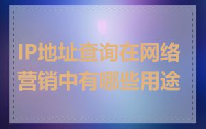 IP地址查询在网络营销中有哪些用途