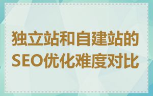 独立站和自建站的SEO优化难度对比