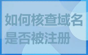 如何核查域名是否被注册
