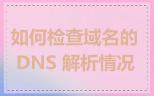 如何检查域名的 DNS 解析情况