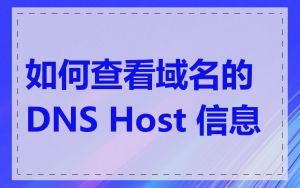 如何查看域名的 DNS Host 信息