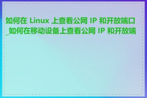 如何在 Linux 上查看公网 IP 和开放端口_如何在移动设备上查看公网 IP 和开放端口