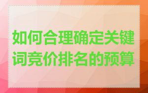 如何合理确定关键词竞价排名的预算