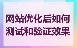 网站优化后如何测试和验证效果
