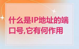 什么是IP地址的端口号,它有何作用
