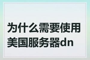 为什么需要使用美国服务器dns