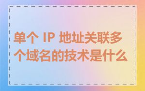 单个 IP 地址关联多个域名的技术是什么